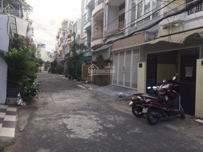 HXH 313/ Nguyễn Trọng Tuyển, Phường 10, Phú Nhuận, 4x18m, trệt, 3 lầu, sân thượng