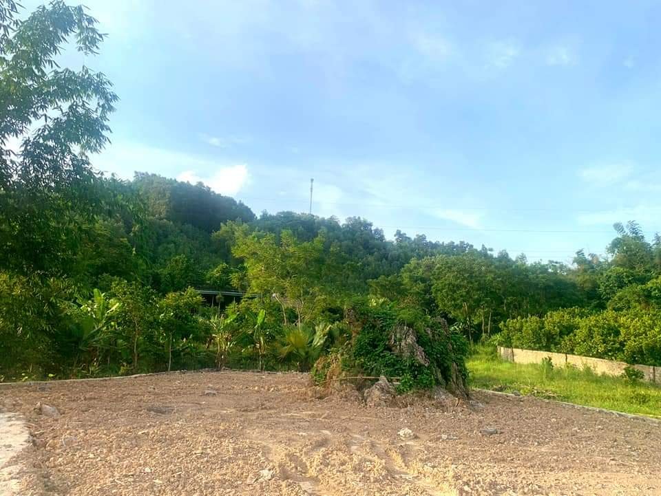 Nhanh tay sở hữu về tay đất thị trấn 1000m2 có 200m2 đô thị Khu xóm Khì, thị trấn Mãn Đức, Tân Lạc, Hoà Bình Gần sát khu phân lô dự án Mường Khến Heritage