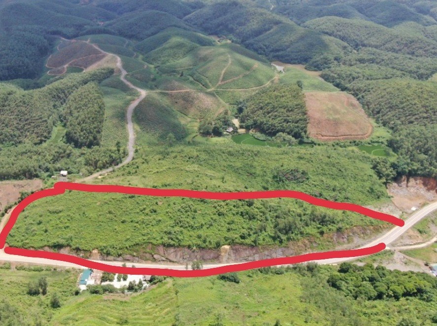 bán rẻ đất rừng sản xuất Với 3,4 ha rừng sản xuất chỉ 77 nghìn đồng cho 1 mét Cạnh đường , bám đường lên tới 500m