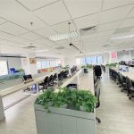  300m2 - 3