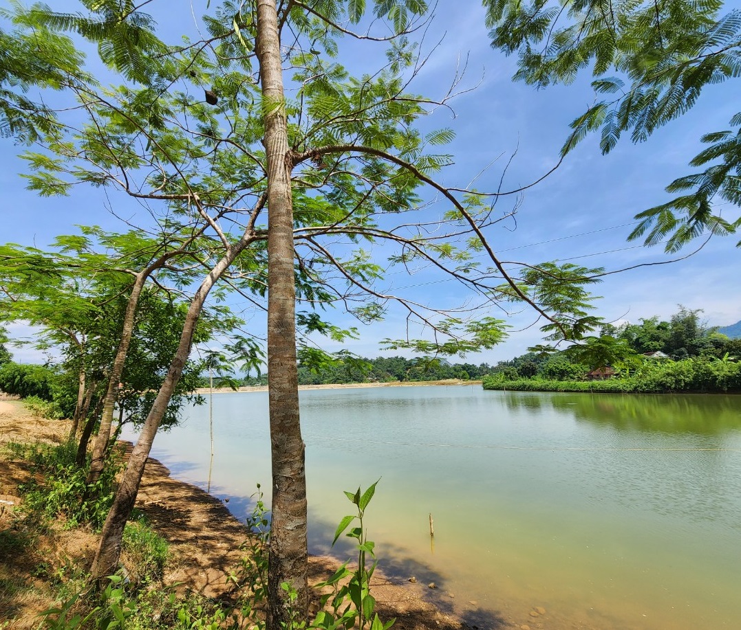 Cần bán SIÊU PHẨM hồ siêu đẹp giá siêu hời tại Lạc Sơn, 2 sự lựa chọn liền kề cho quý anh chị 2 lô đất Thổ Cư view hồ cực đỉnh