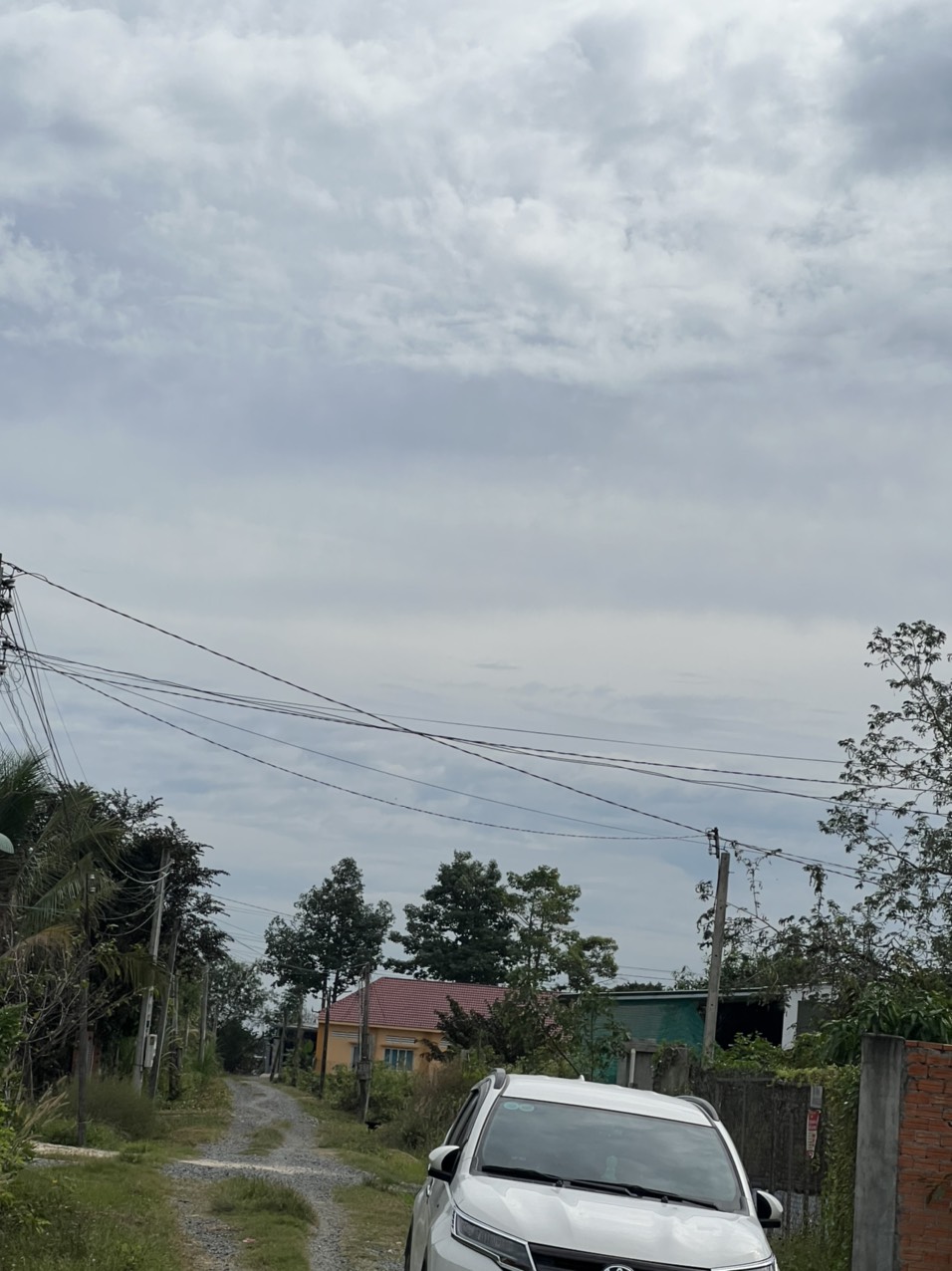 CẦN TIỀN BÁN GẤP TẠI TRUÔNG MÍT, DMC, TÂY NINHFULL THỔ CƯ