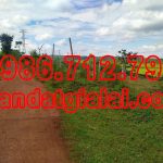  3619m2 - 3