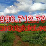  3619m2 - 4