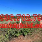  3619m2 - 5