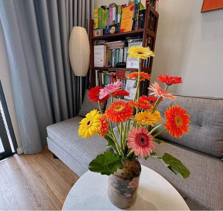 Đất vượng phát Linh Lang, Ba Đình, taxi đỗ cửa, tặng nội thất, gần phố, 68m, 5T, Mt 5m, 6.2 tỷ