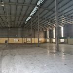  5000m2 - 5