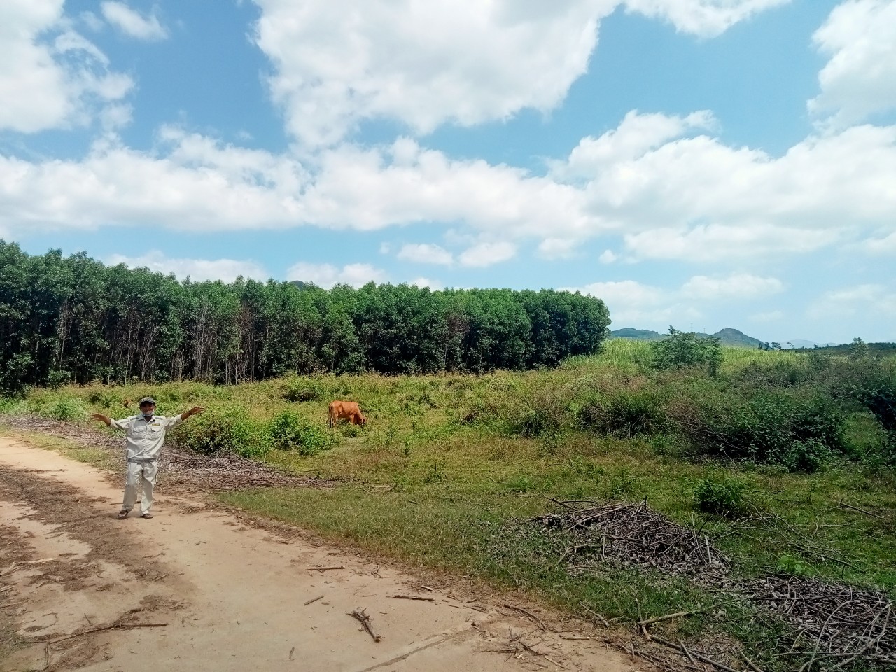 Siêu phẩm độc nhất chỉ có một lô không còn lô thứ hai