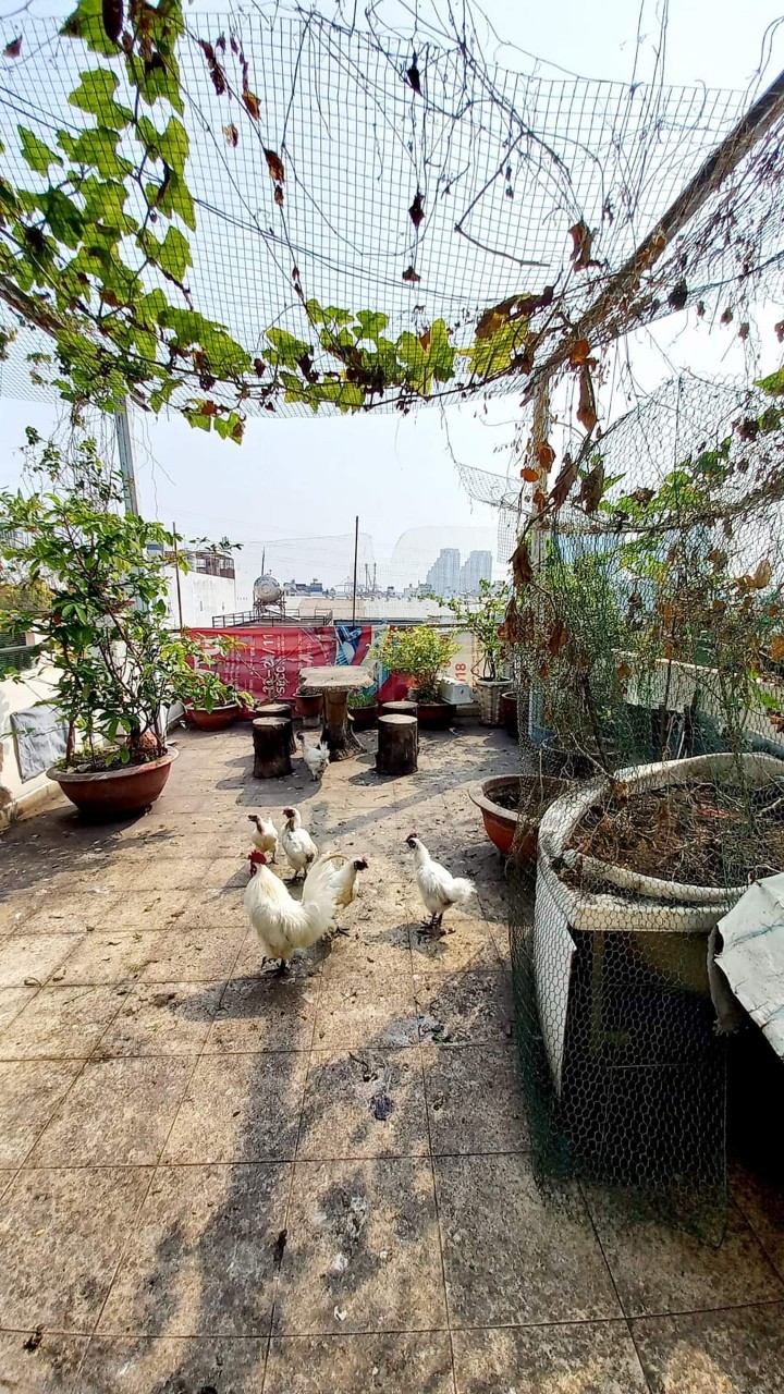 NHÀ MẶT TIỀN HẺM 88 NGUYỄN VĂN QUỲ - VỊ TRÍ KINH DOANH BUÔN BÁN CỰC TỐT - KHU DÂN CƯ ĐÔNG ĐÚC 4 TẦNG HOÀN CÔNG CHUẨN