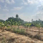  4000m2 - 1