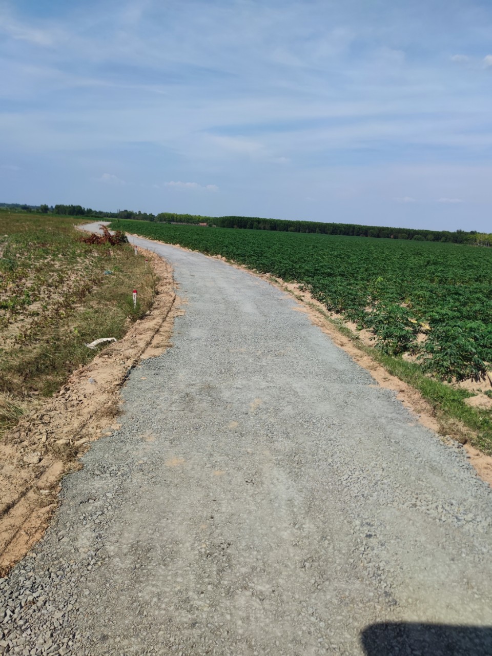 BÁN ĐẤT SÀO TÂY NINH, BÁN GẤP 1 CÔNG ĐẤT TẠI TÂY NINH GIÁ CHỈ 4XX