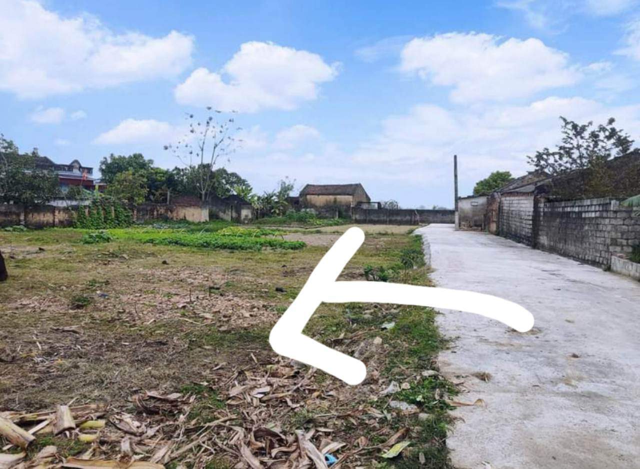 Hậu Lộc Thanh Hóa, 3 lô liền kề 8x20, 3xx.lôquê bác Chính