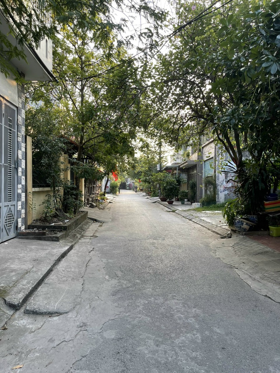 Giá rẻ nhất Thiên Lôi, mặt đường nhựa 8m GIÁ chỉ có 35 triệu/m thoả thuận