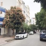  75m2 - 1