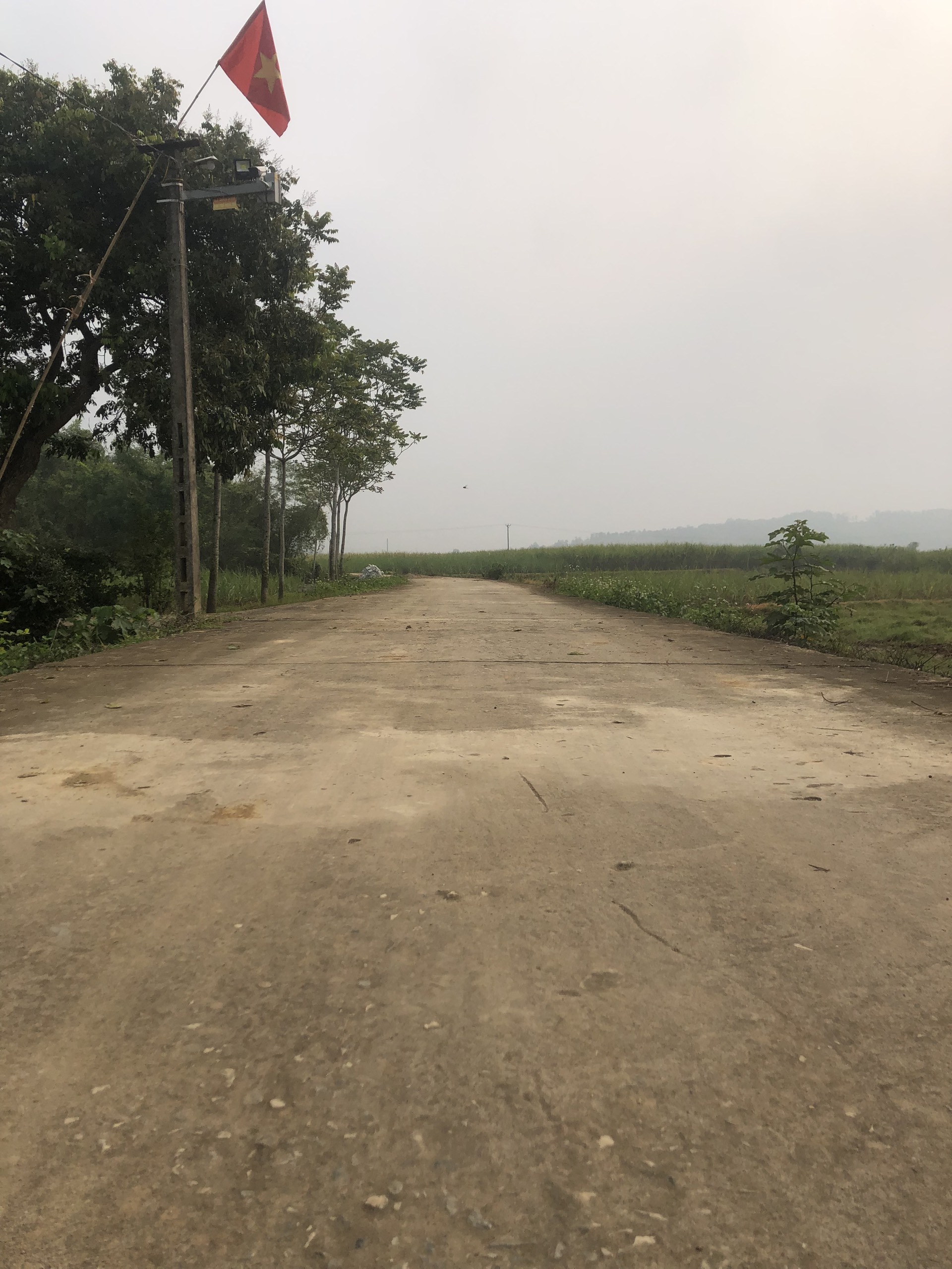 Kim Tân Thạch Thành Thanh Hóađất ODT 5x30, 1xx.lô. có 4 lô liền kề