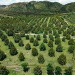  130000m2 - 1