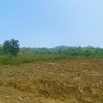  11000m2 - 6