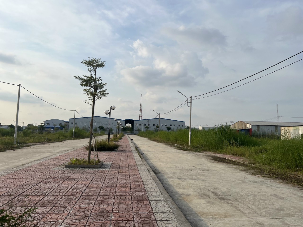 CHÍNH CHỦ CẦN BÁN LÔ ĐẤT TẠI LÝ VĂN LÂM CÀ MAU.