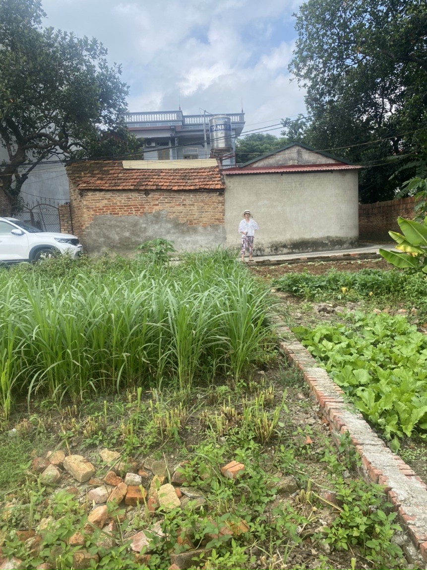 Tài chính 1 tỷ- Chính chủ cần tiền sang nhượng gấp lô đất tại Phù Linh, Sóc Sơn Hà Nội.