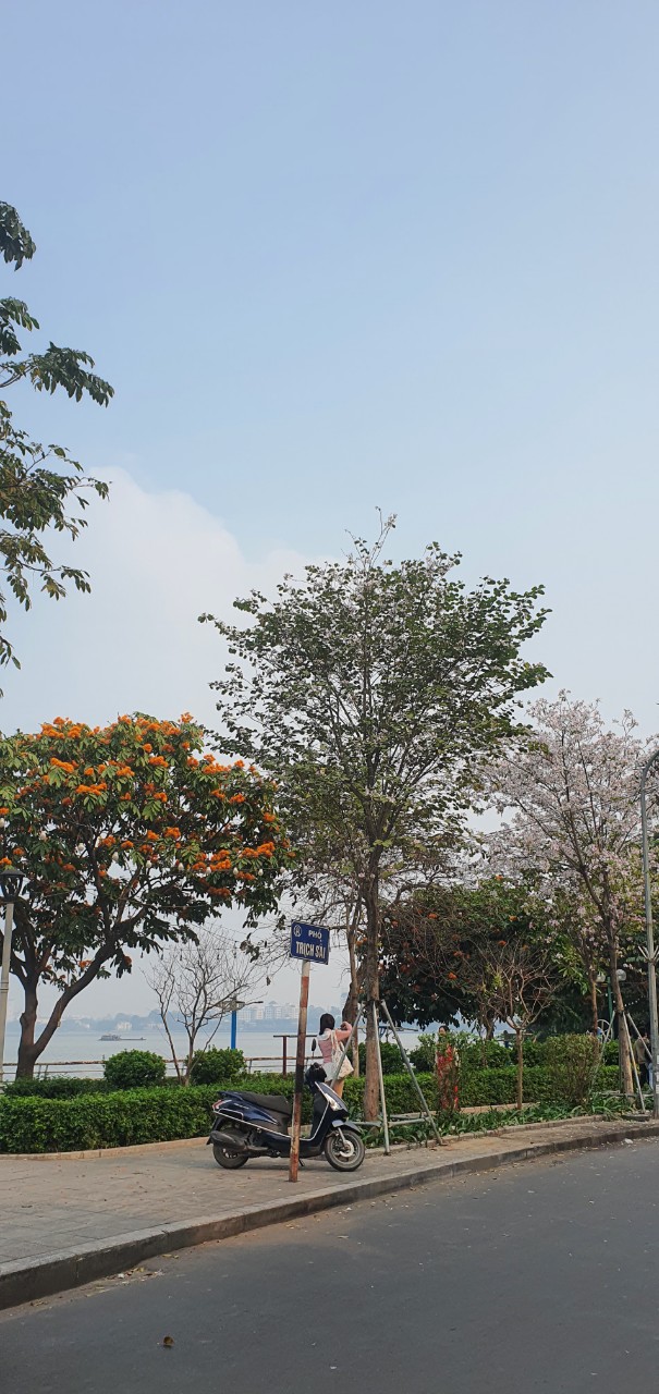 BÁN NHÀ LẠC LONG QUÂN, RA PHỐ 10M, 40M2, 5 TỶ