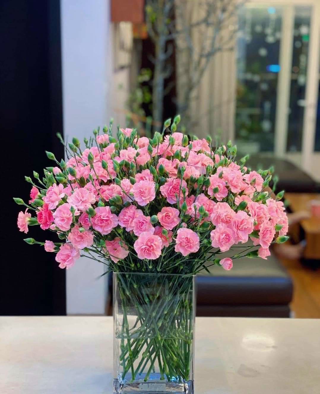 Siêu mẫu Kim Mã Thượng, Ba Đình, mới xây 2023, tặng nội thất, 51m, 5T, Mt 4.5m, 4.6 tỷ