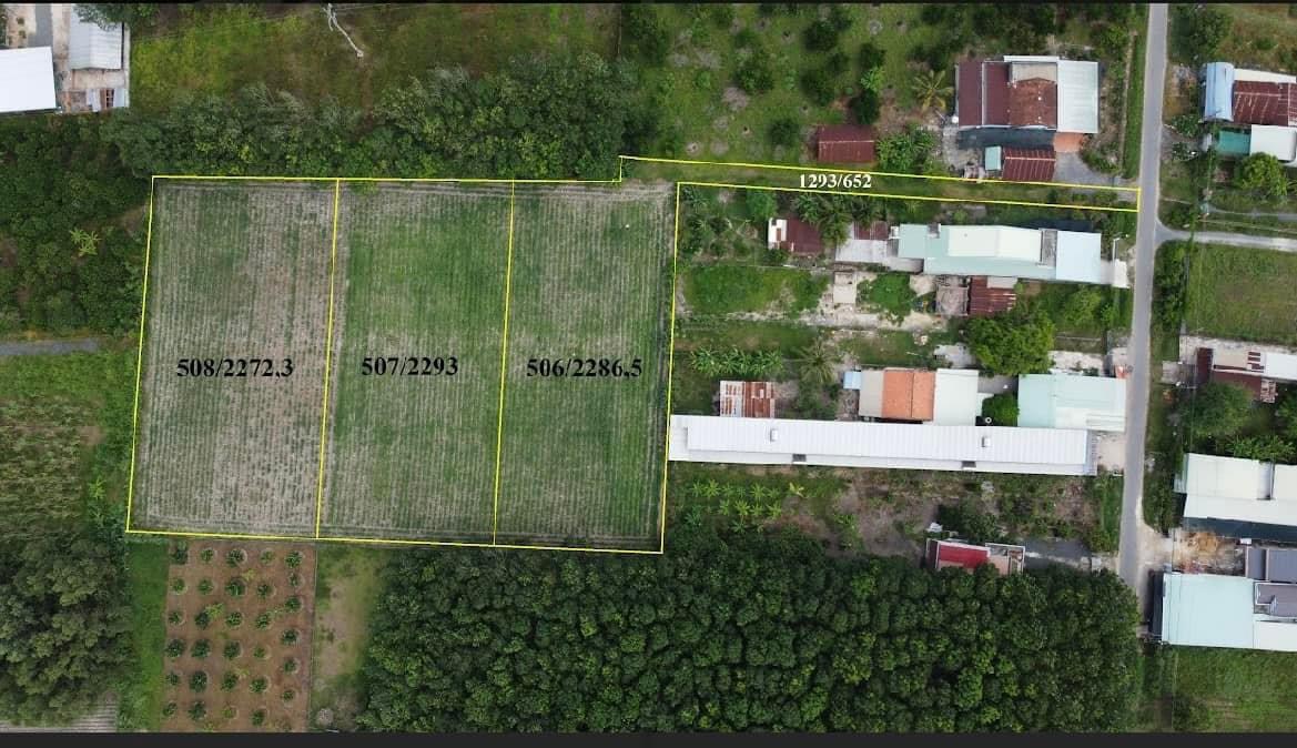 Cần bán đất 7503m2 khu phố an bình thị xã trảng bàng đối diện khu công nghiệp trảng bàng và linh trung