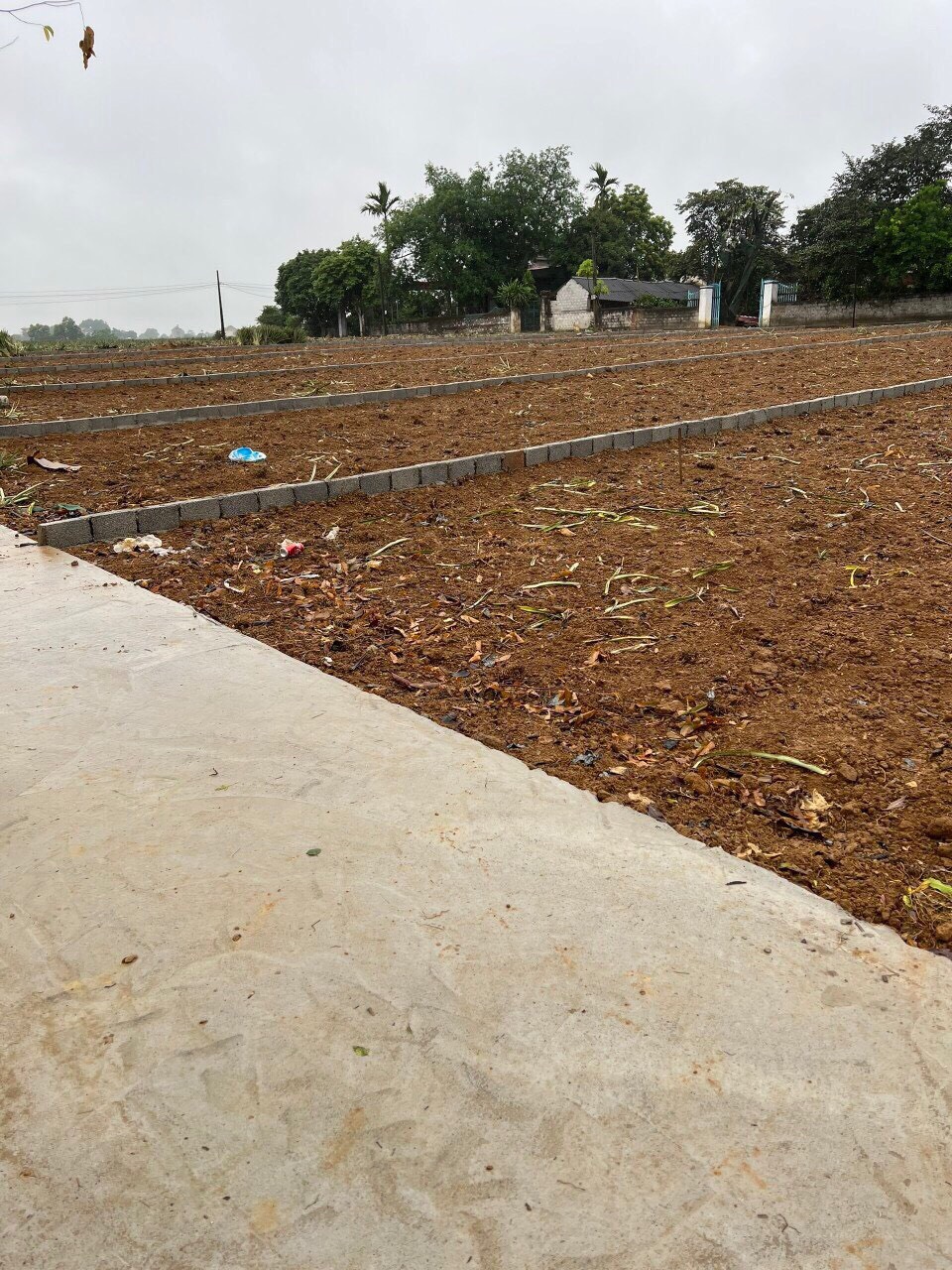 TT Thống Nhất, Yên Định, Thanh Hóa10x40, 2 mặt tiền, 395tr