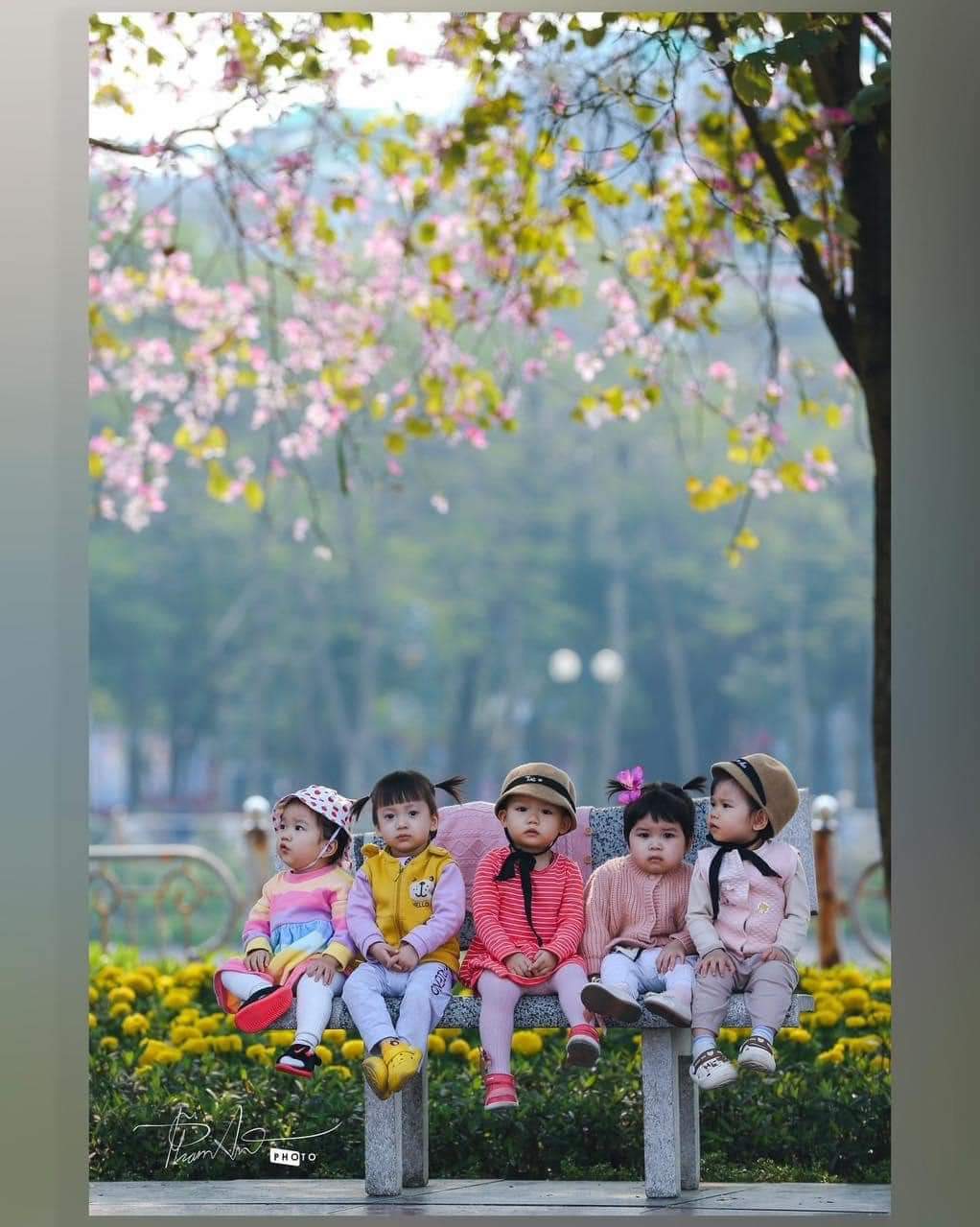 Đất vượng khí Kim Mã, Ba Đình, ngã tư Liễu Giai, gần phố, 49m, 5T, Mt 4m, 4.3 tỷ