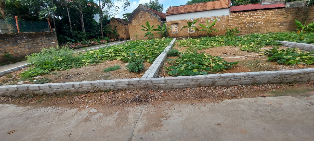 lô đất 85m full thổ cư cách trục chính vài bước chân xe tải vào đất đường thông đăc biệt mặt tiền rộng hơn 6m