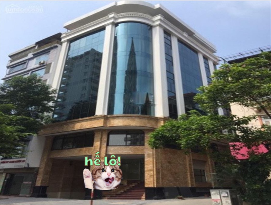 Mặt Phố - Lô Góc - Vỉa Hè Rộng - 105m x 9 Tầng 37 Tỷ - Nguyễn Hoàng Mỹ Đình