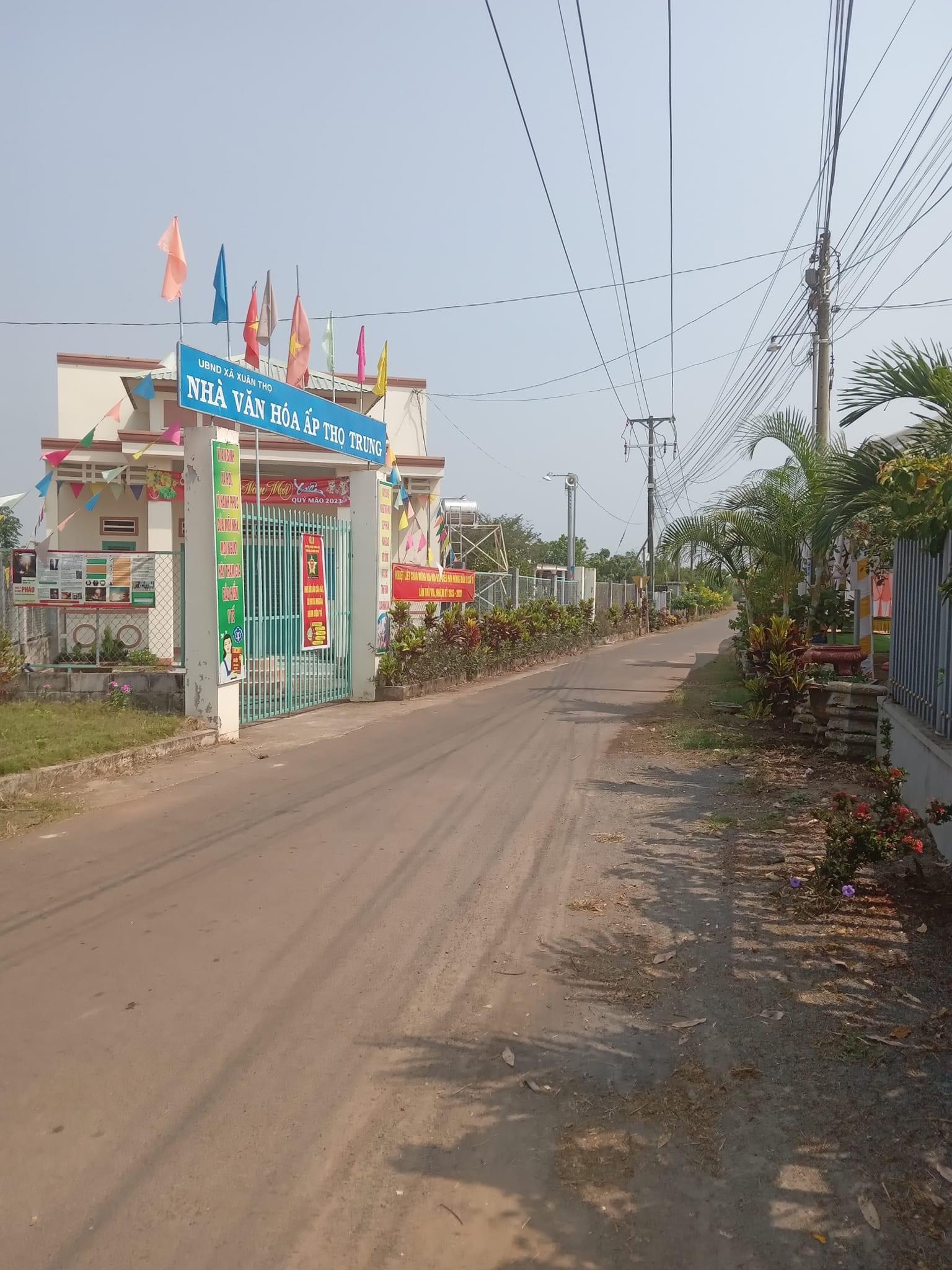 Cơ hội sở hữu đất với ACE tài chính thấp! chỉ 280tr sở hữu ngay lô đất >200m2 cách nhựa 70m!