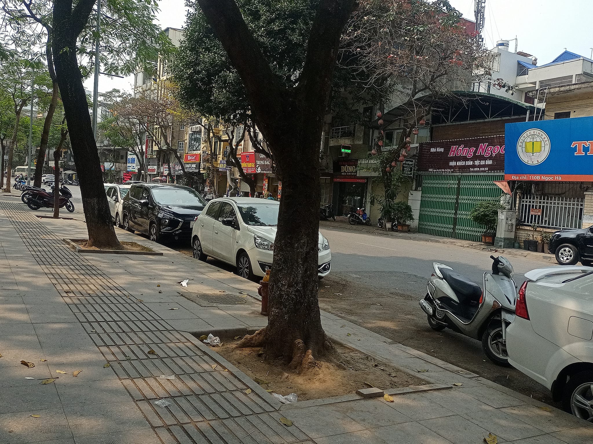 1600m2 Đất Mặt Phố Quận Ba Đình, mặt tiền 30m, giá 820 tỷ, sô đỏ lâu dài