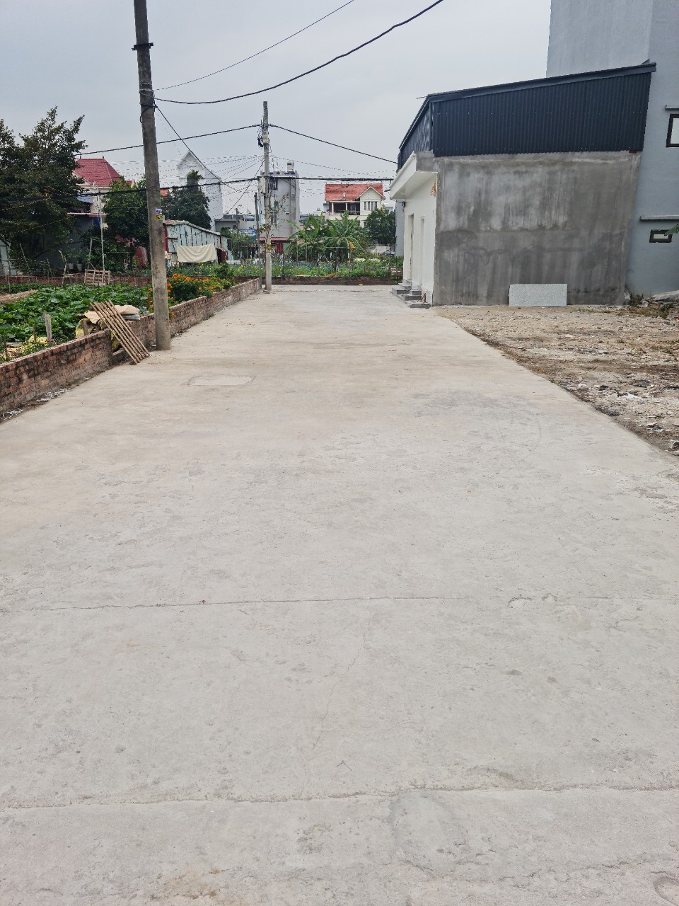 Bán lô đất 63.5m2 ngõ 369 Đằng Hải, Hải An giá 40.5 tr/m2