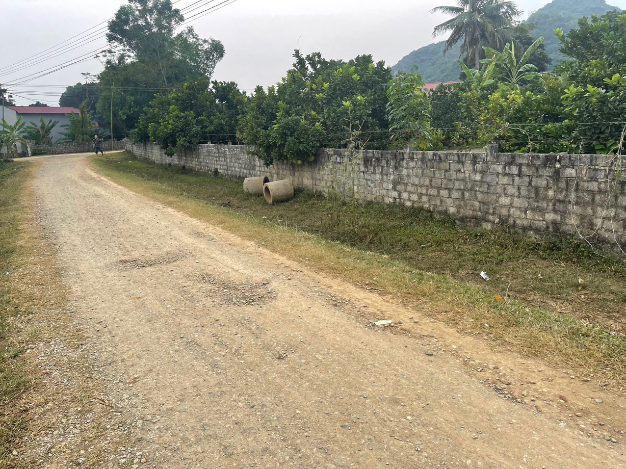 Thạch Sơn, Thạch Thành, Thanh Hóa180tr/lô, đường 8m