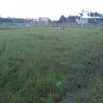  350m2 - 5