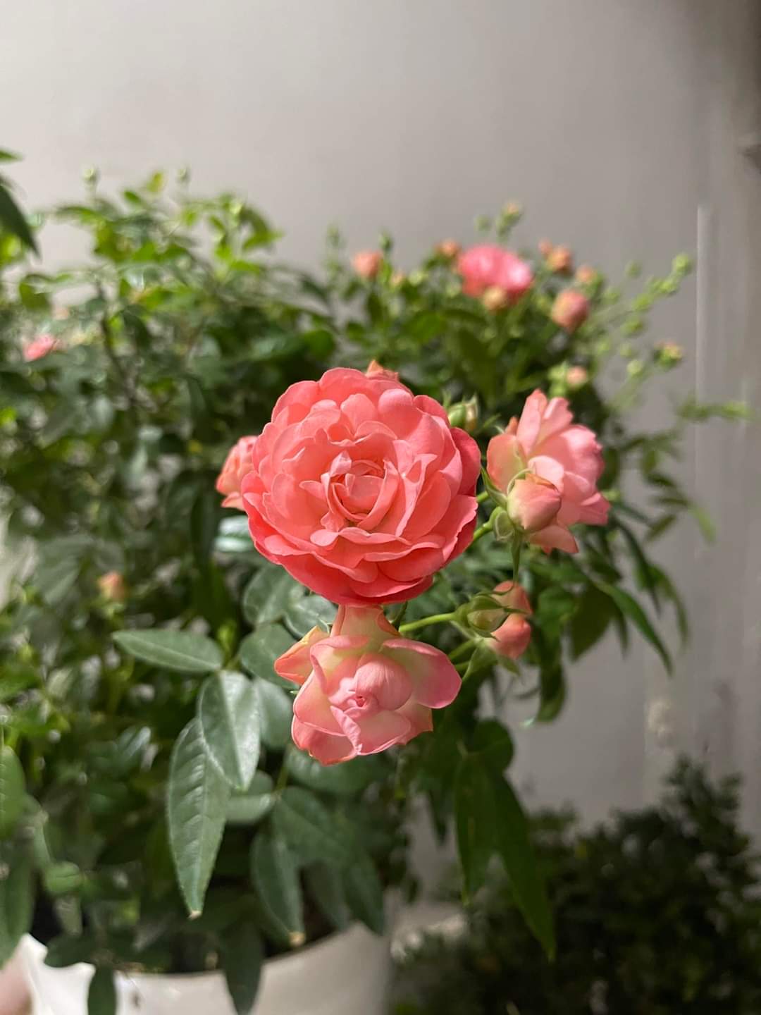 Siêu kinh doanh Đào Tấn, Ba Đình, mới xây 2023, ô tô 16 chỗ đỗ cửa, sát phố, 57m, 4T, 8.89 tỷ