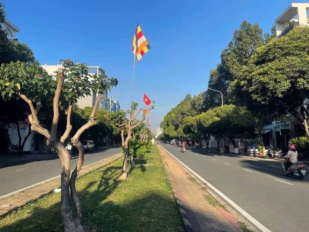 Bán nhà mặt tiền kinh doanh đường lê thúc hoạch, đường nhựa 30m, vỉa hè 4m, 79m2 chỉ 11.8 tỷ