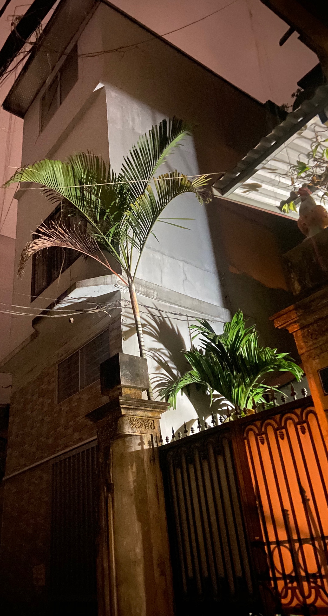 Nhà ngõ ô tô kinh doanh phố Âu Cơ, Tây Hồ, gần Hồ Tây, 36m2, 3 tầng, mặt tiền 3.3m chỉ~100triệu/m2