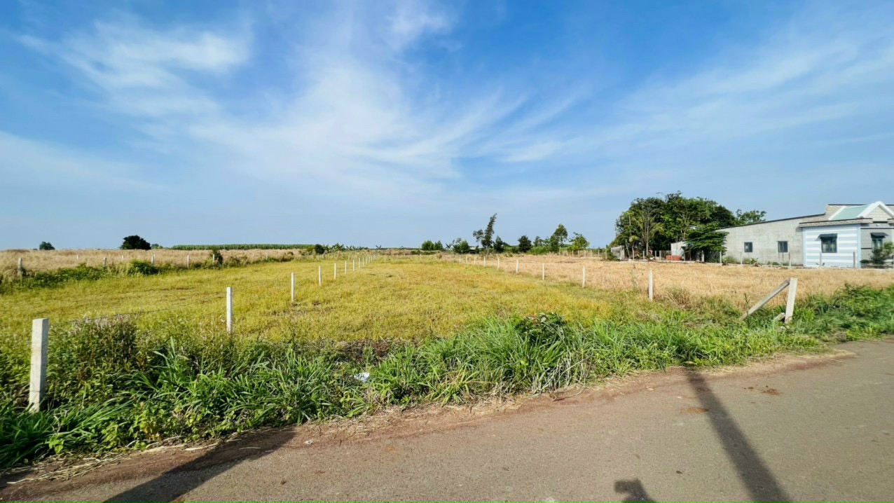 bán lô đất mặt tiền đường nhựa phước long thọ DT 1000m2 vị trí đẹp thích hợp làm nhà vườn nghĩ dưỡng