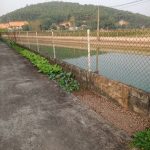  4000m2 - 6