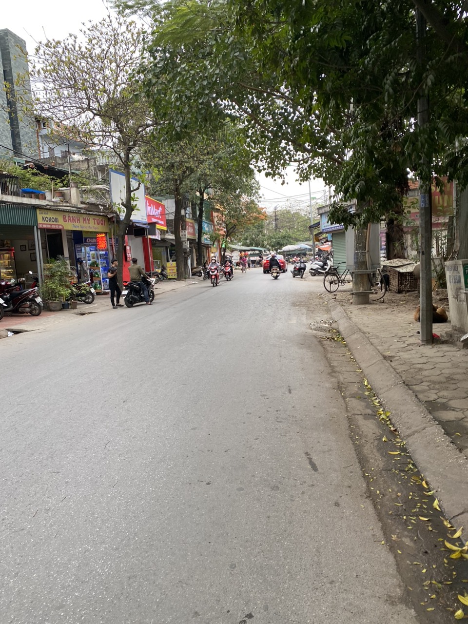 61m2 Mặt Chính Chợ Vàng, Cổ Bi, Gia Lâm. Giá 125Tr/m2.