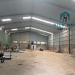  950m2 - 3