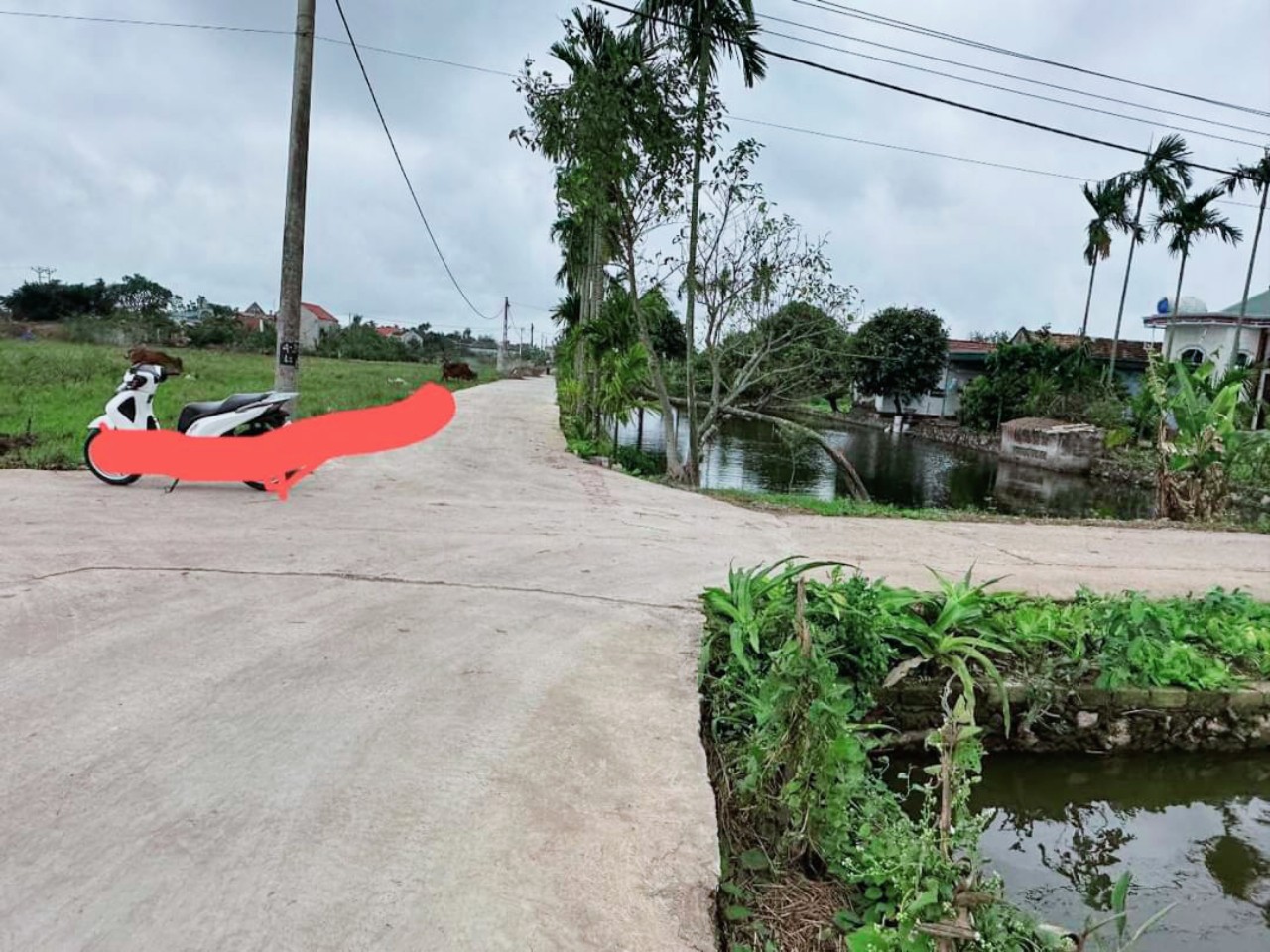 Chính chủ em cần bán lô đất đầu ve 2 mặt tiền đẹp nhất khu vực, tại Nga Thái Nga Sơn Thanh Hóa