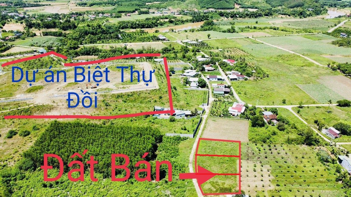 Bán nhanh Lô góc Diên Đồng 1685m2 tách được 3 lô giá đầu tư