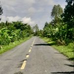  9300m2 - 1