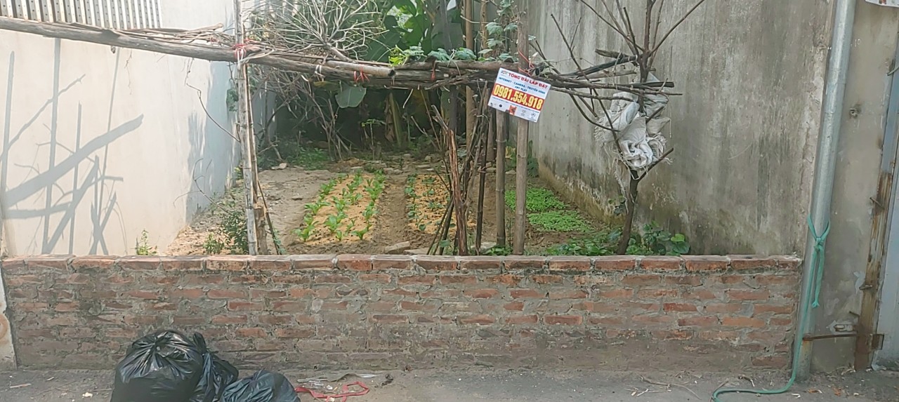 ĐẤT ĐỨC THƯỢNG 40M GIÁ SÔC CHỈ 1 TỶ 50 TRIỆU NGÕ NÔNG RỘNG 1,8M