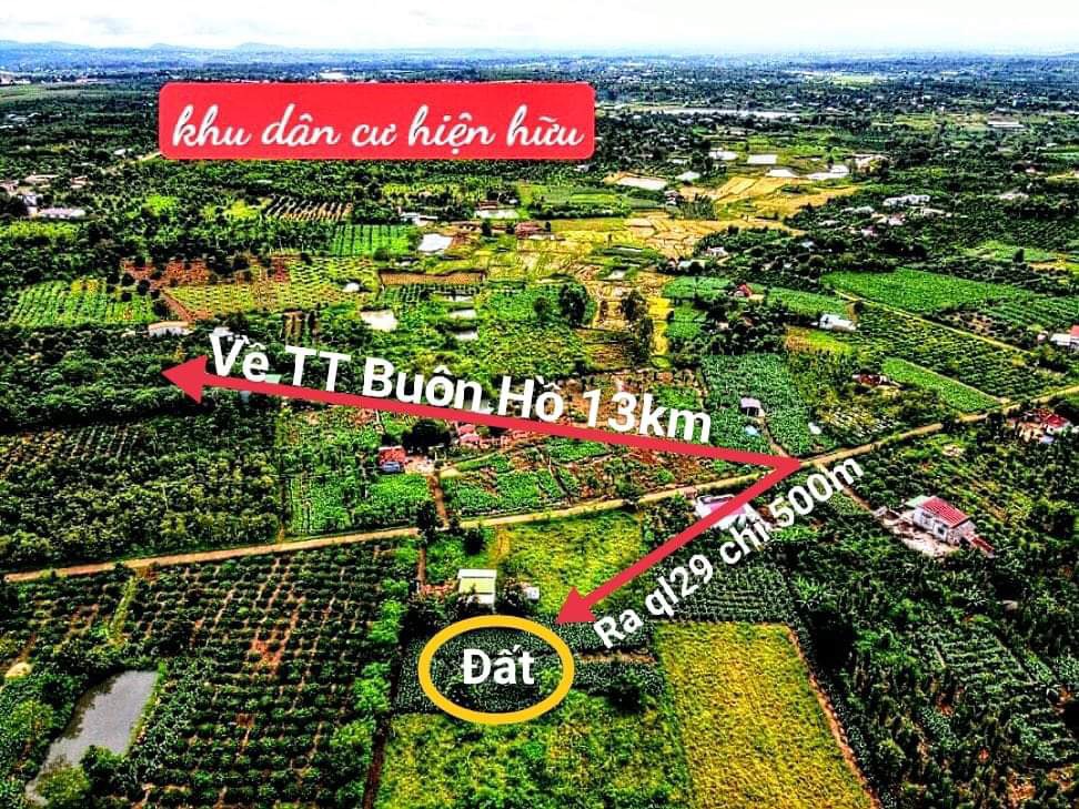 Đất TX Buôn Hồ phủ hồng trong KDC,500m2 gần Ql29, tiện ích an sinh,chỉ 169tr