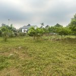  3000m2 - 3