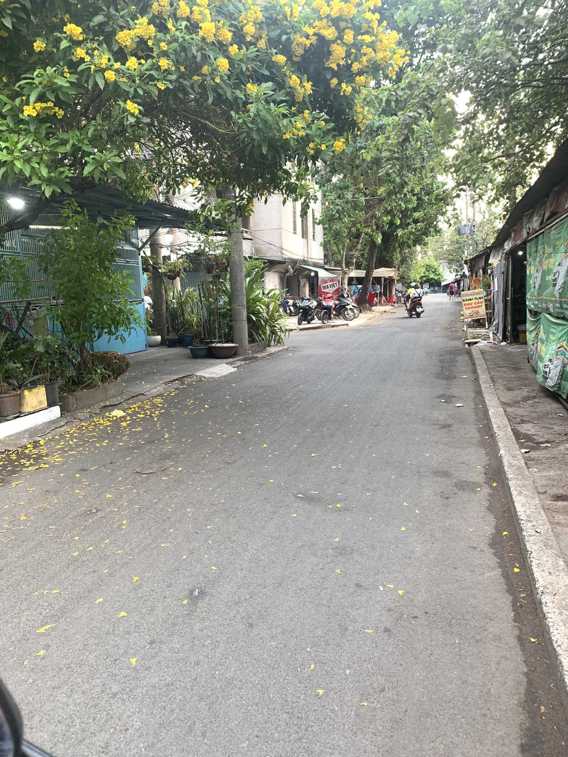 CHỦ NGỘP BÁN GẤP CHUNG CƯ TRUNG TÂM QUẬN 11 CHỈ HƠN 2 TỶ XÍU - 45M2 -2PN