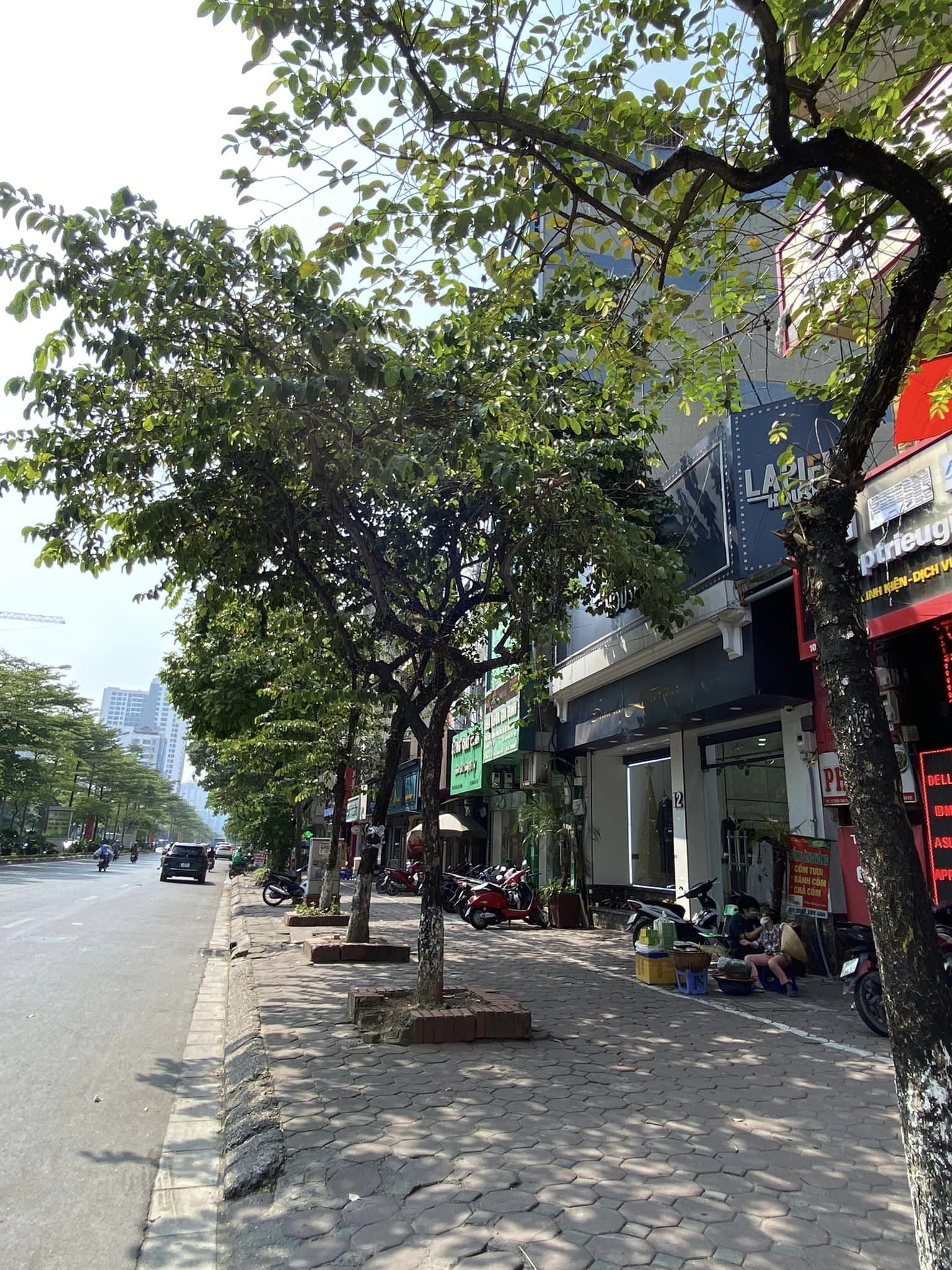 CỰC HÓT! MẶT PHỐ TRẦN THÁI TÔNG 182M2, MT9M, VỈA HÈ, KINH DOANH, VĂN PHÒNG, XÂY BUILDING. NHỈNH 90 TỶ.